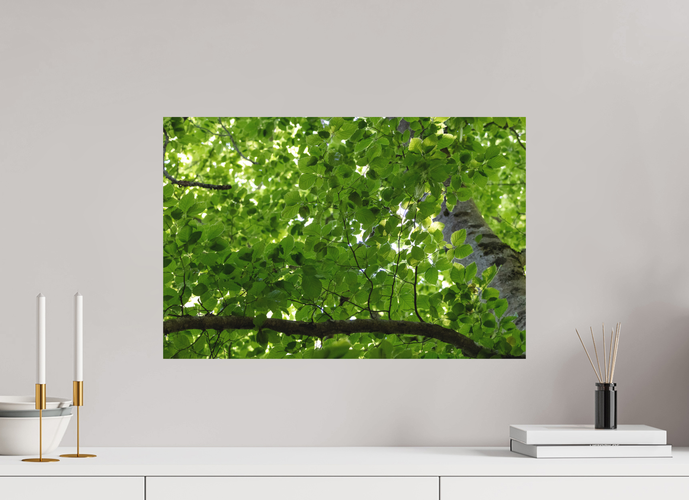 60 x 40 cm, Tirage Fine Art mat Chlorophylle