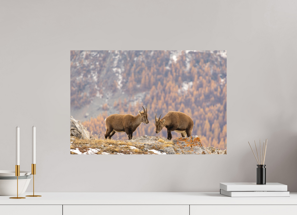 60 x 40 cm, Tirage Fine Art mat Fraternité