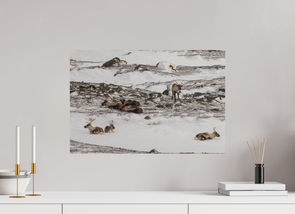 60 x 40 cm, Tirage Fine Art mat Repos