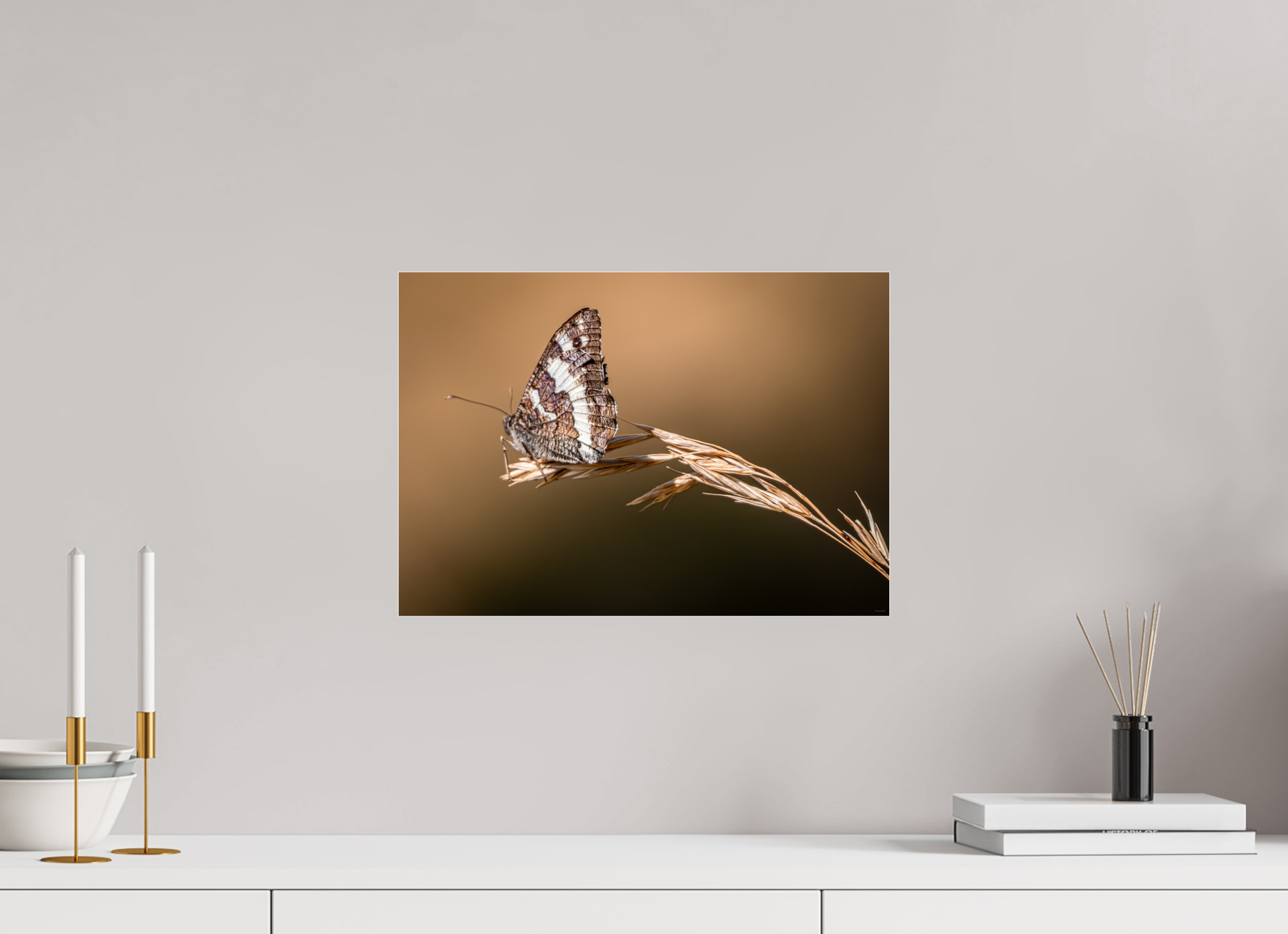 42,8 x 30 cm, Dibond verre brillant 2mm Suspendu à l'été