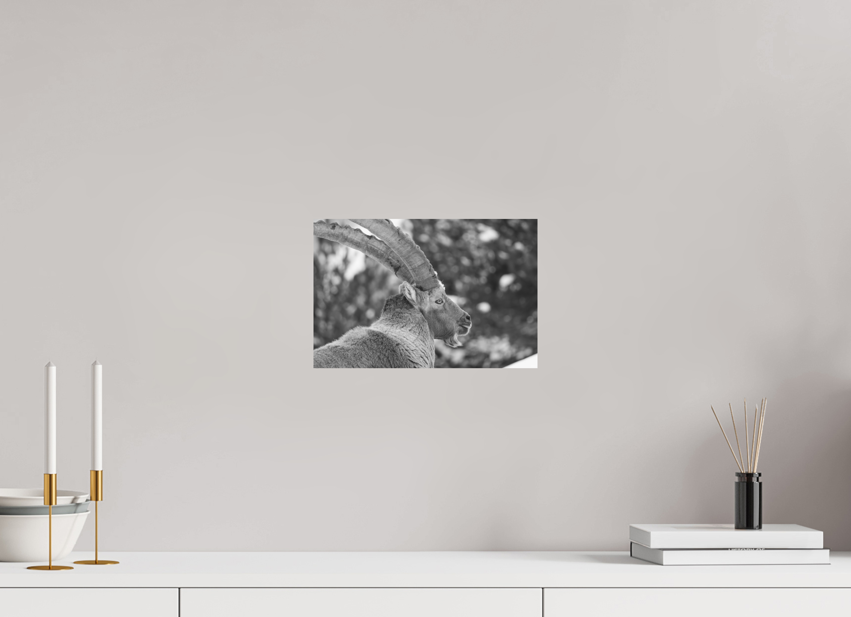 30 x 20 cm, Tirage Fine Art mat Le roi