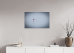 75 x 50 cm, Tirage Fine Art mat Fil d'ariane