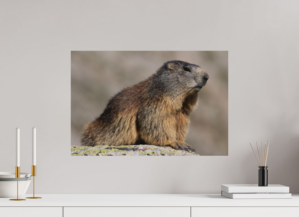 60 x 40 cm, Tirage Fine Art mat Figure alpine