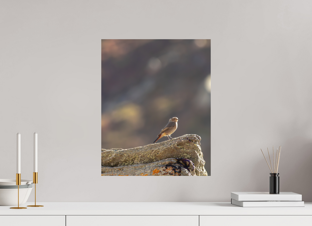 40 x 50 cm, Tirage Fine Art mat Rouge queue - veilleur du matin