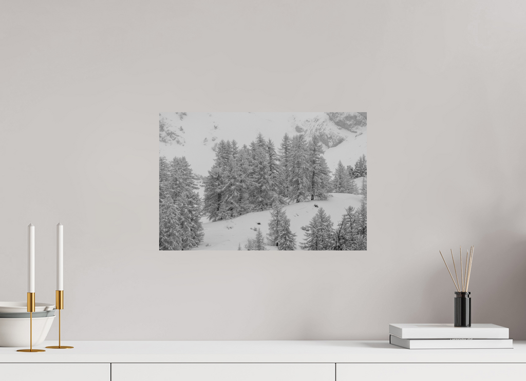 45 x 30 cm, Tirage Fine Art mat Hiver intérieur