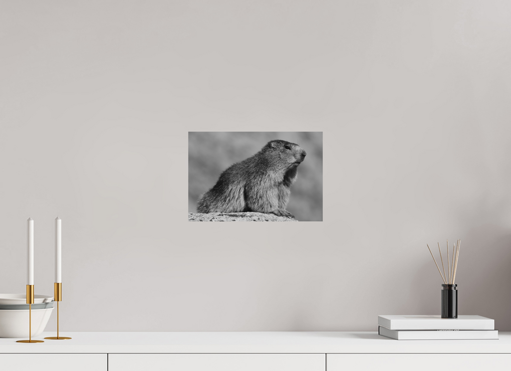 30 x 20 cm, Tirage Fine Art mat Figure alpine (N&B)