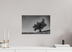 45 x 30 cm, Tirage Fine Art mat Ombrage