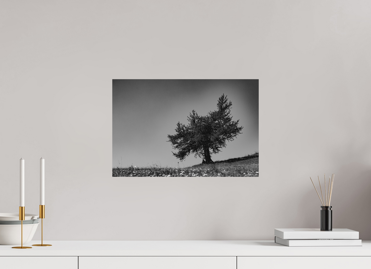 45 x 30 cm, Tirage Fine Art mat Ombrage