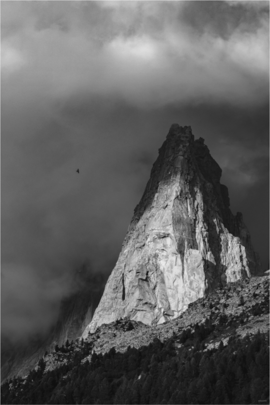 Main image Dent des Drus