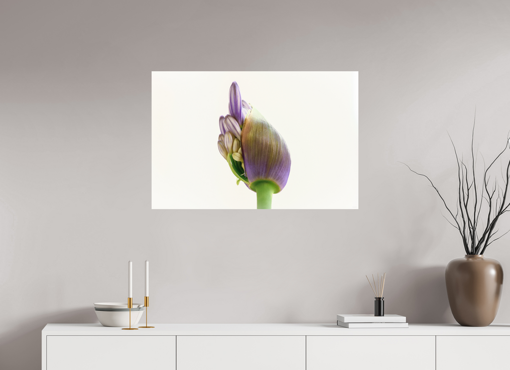 90 x 60 cm, Tirage Fine Art mat Agapanthe