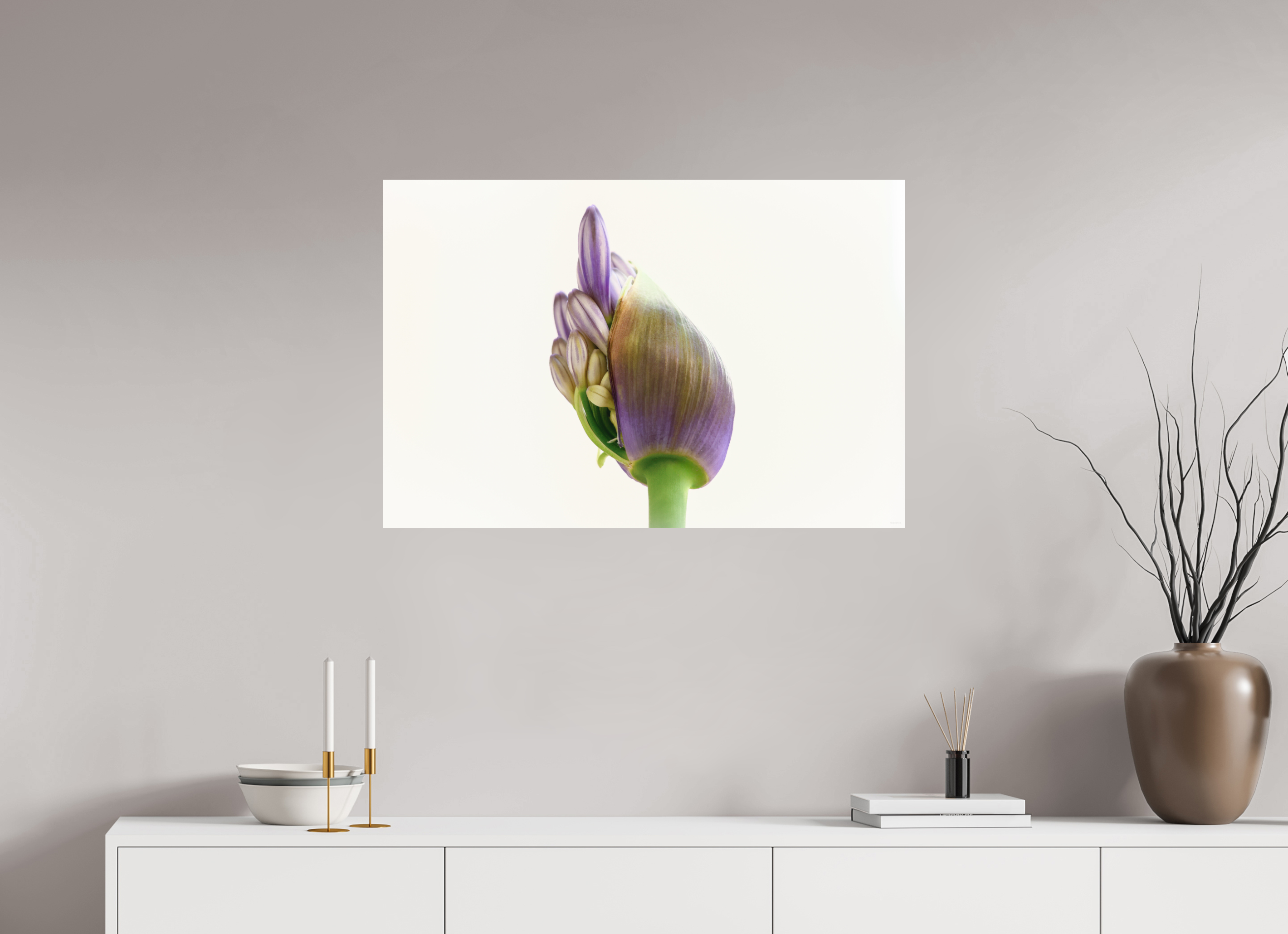 90 x 60 cm, Tirage Fine Art mat Agapanthe