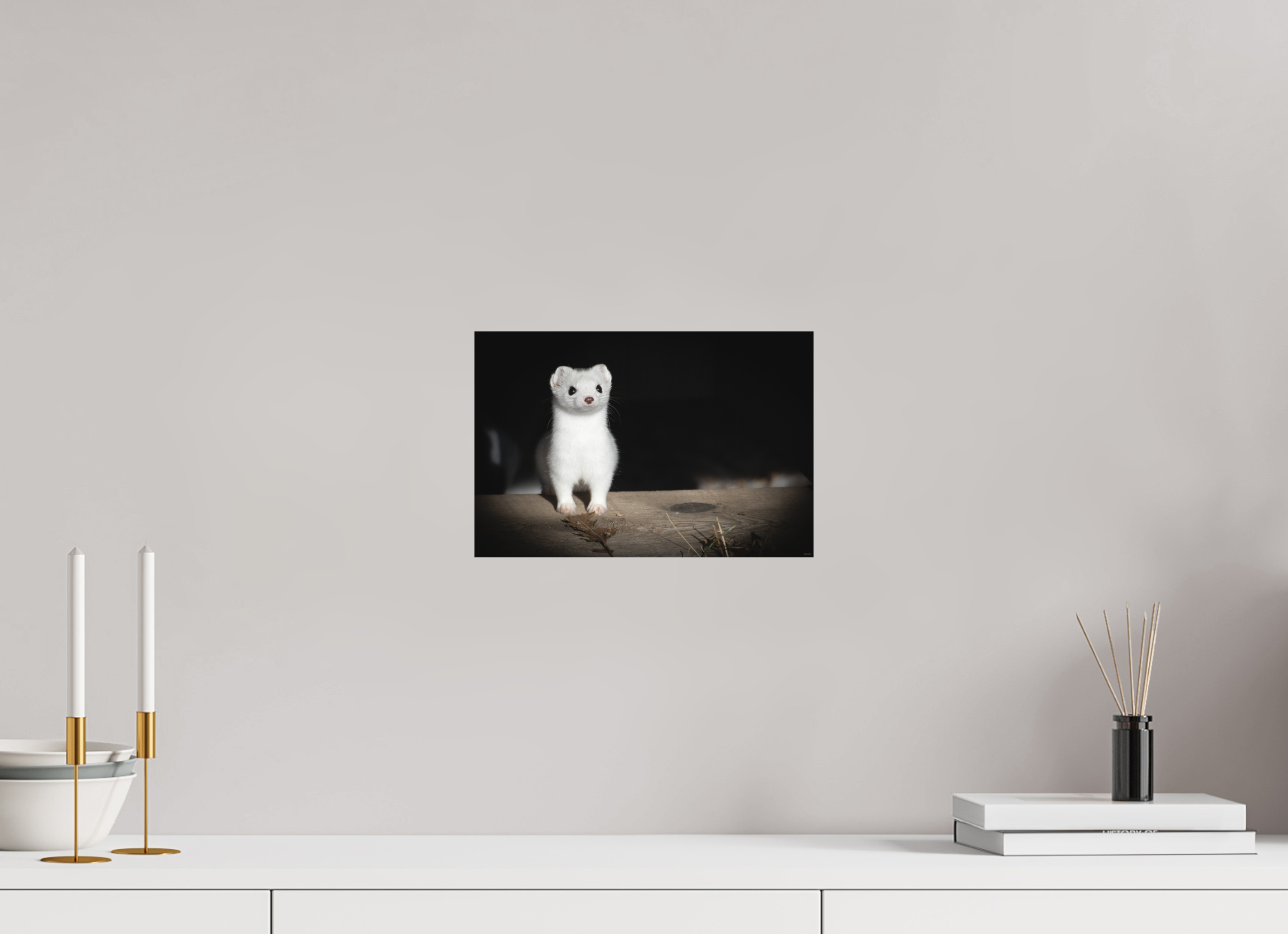 30 x 20 cm, Tirage Fine Art mat Curiosité