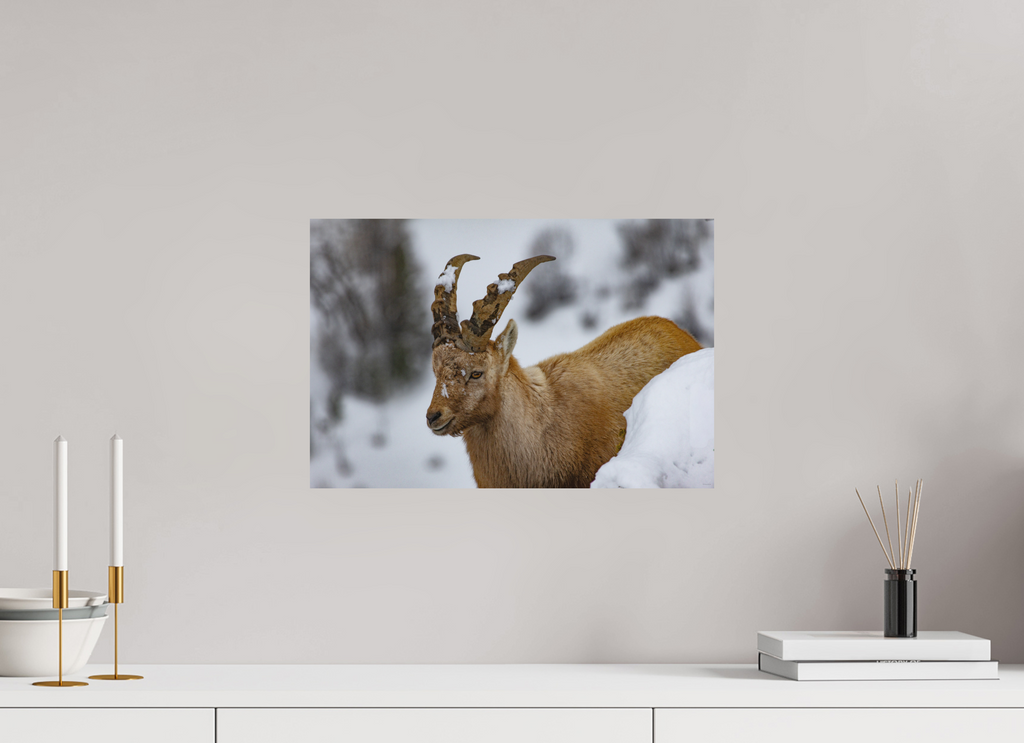 45 x 30 cm, Tirage Fine Art mat La patience du monde