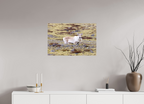 75 x 50 cm, Tirage Fine Art mat Étonnement