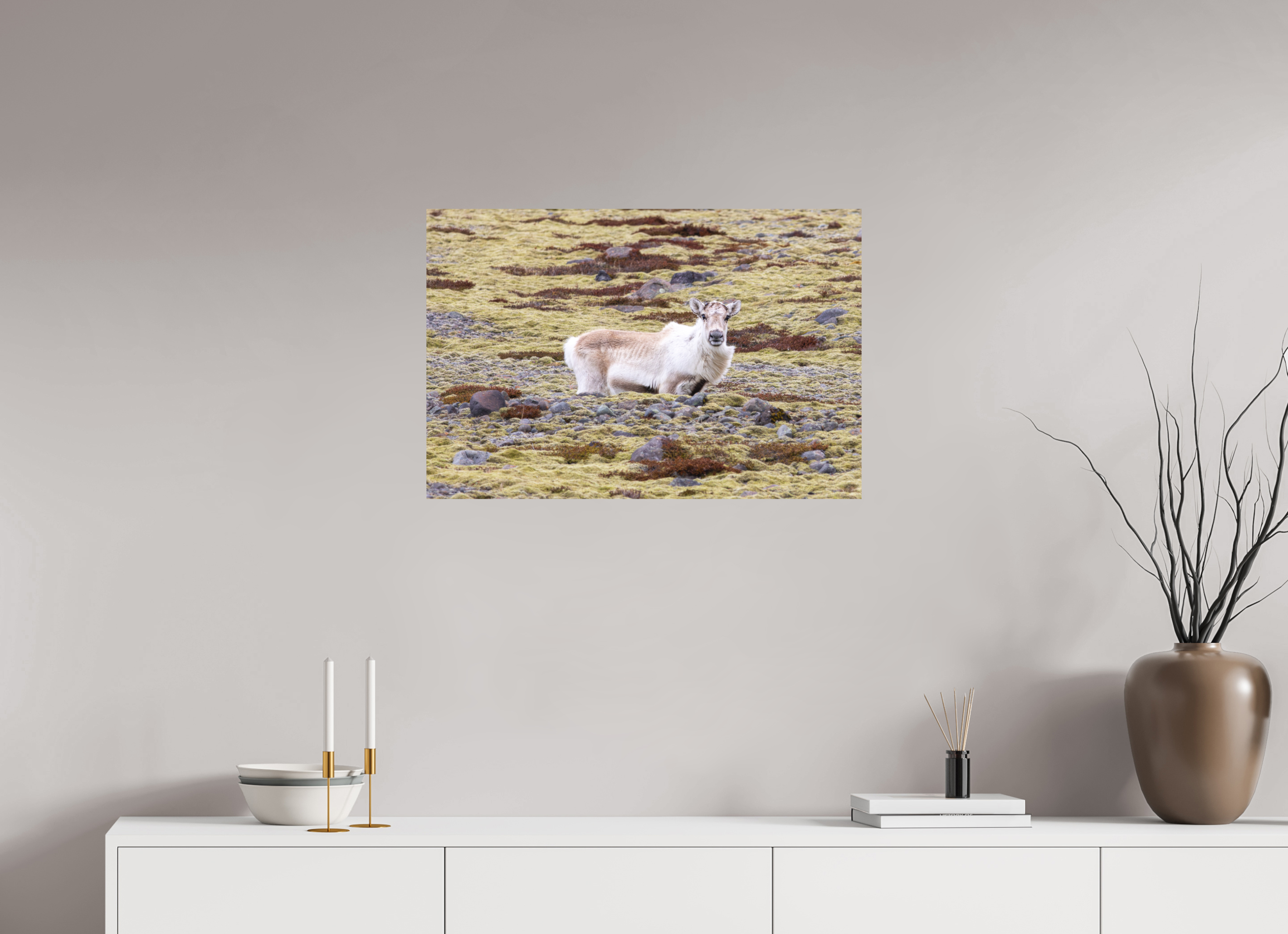 75 x 50 cm, Tirage Fine Art mat Étonnement