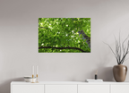 90 x 60 cm, Tirage Fine Art mat Chlorophylle
