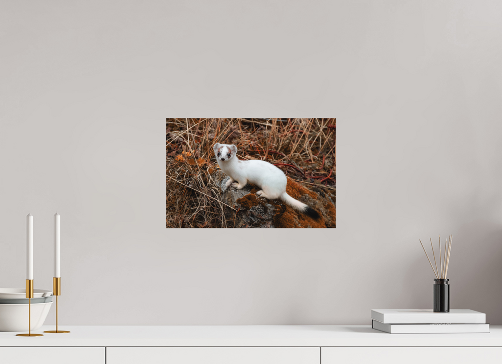 38,5 x 25 cm, Tirage Fine Art mat Hermine