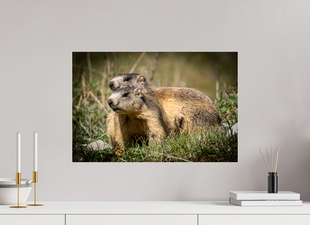 60 x 40 cm, Dibond verre brillant 2mm bruno