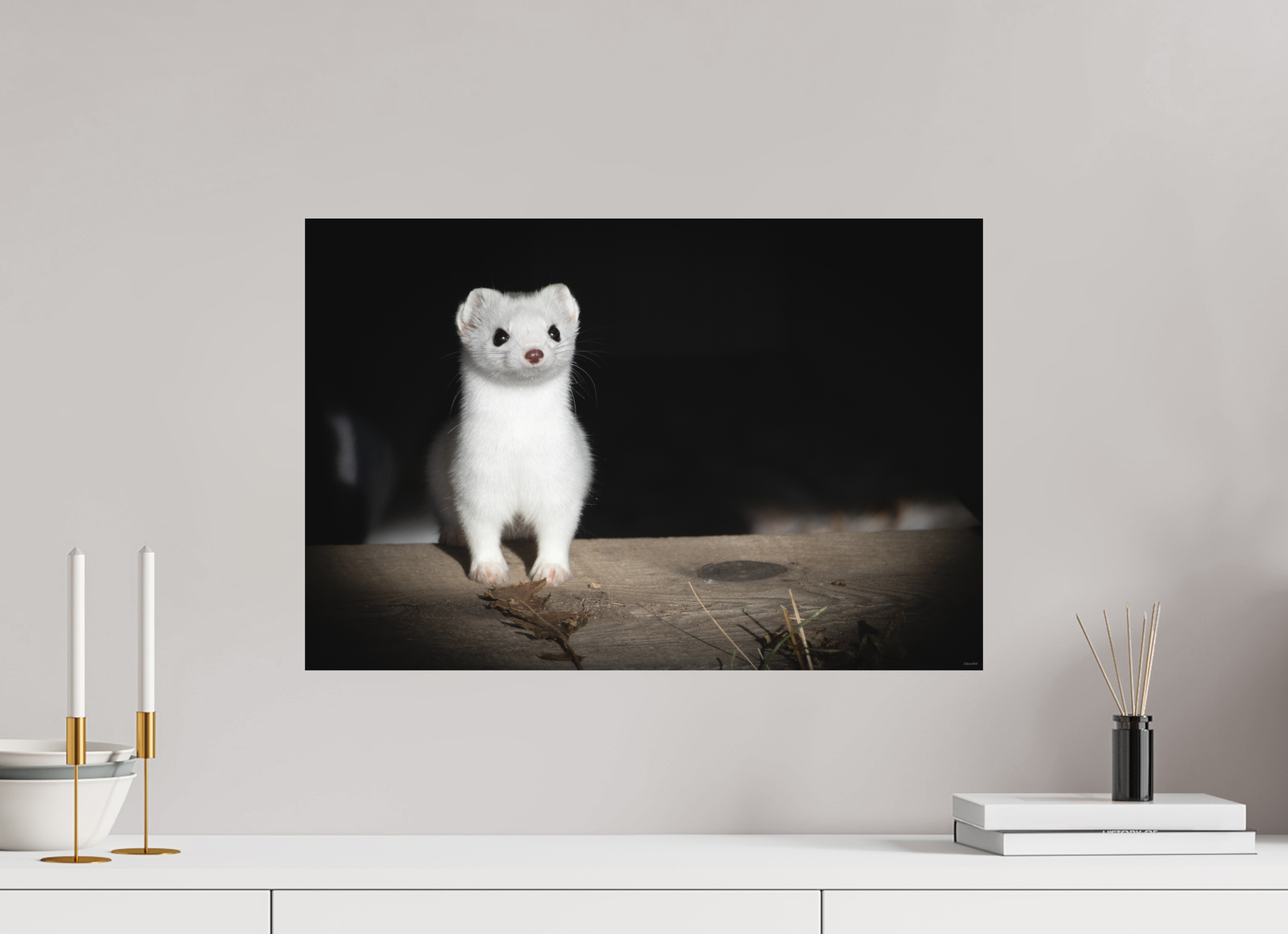 60 x 40 cm, Tirage Fine Art mat Curiosité