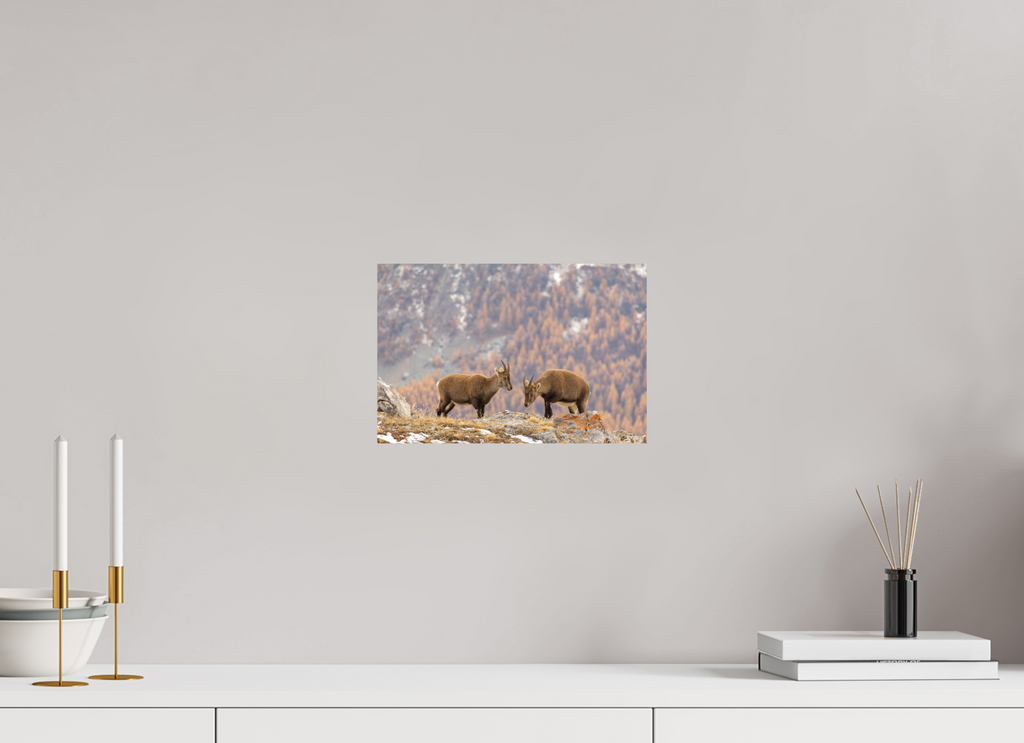 30 x 20 cm, Tirage Fine Art mat Fraternité