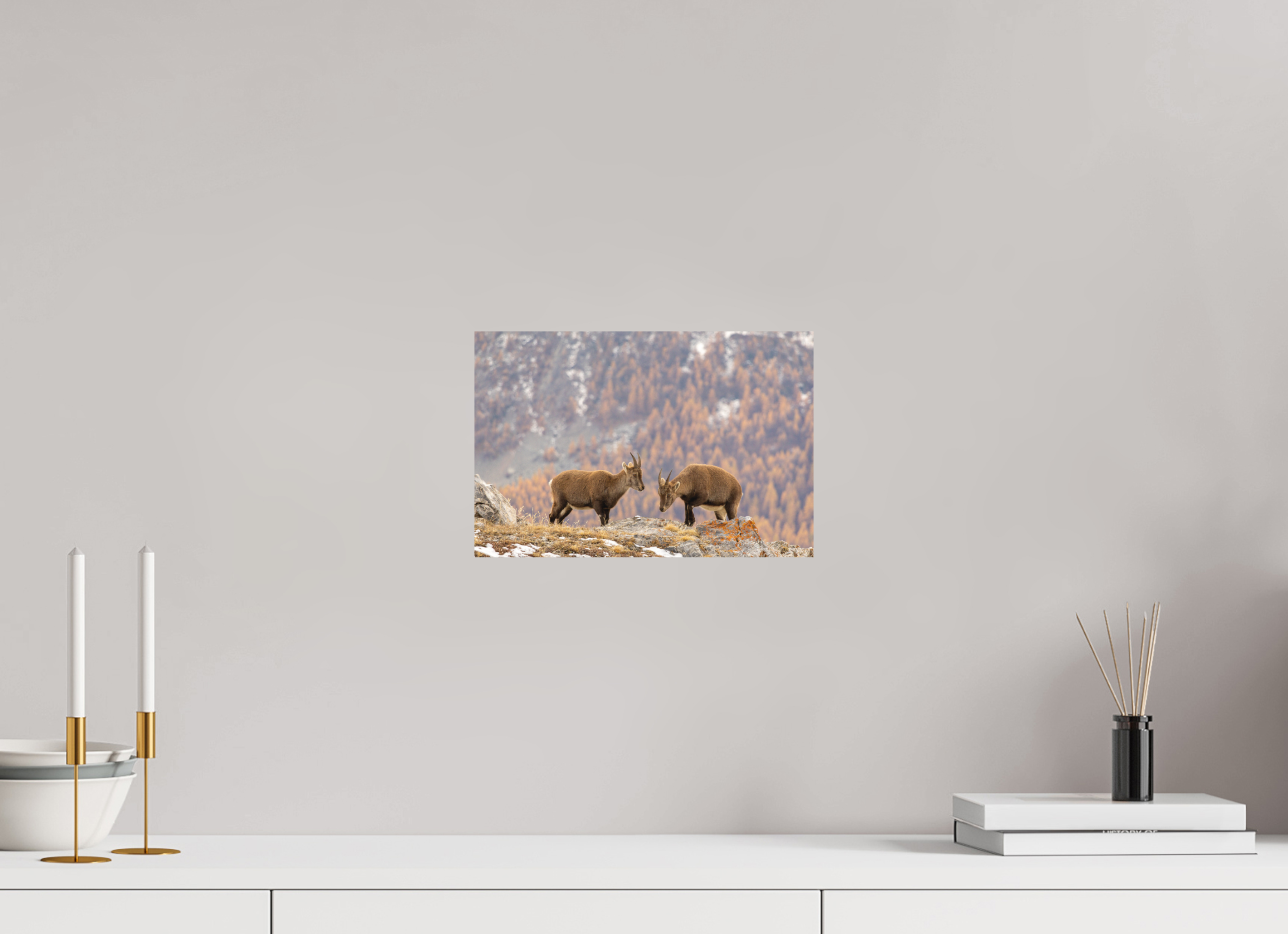 30 x 20 cm, Tirage Fine Art mat Fraternité