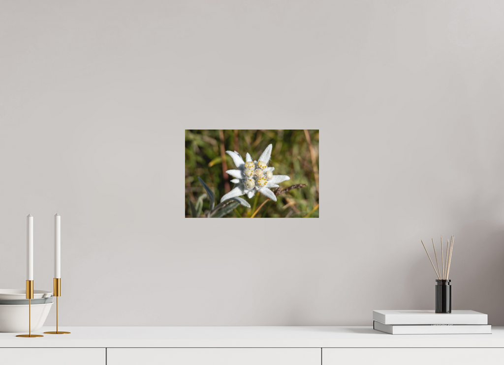 30,3 x 20 cm, Tirage Fine Art mat Fleur sacrée