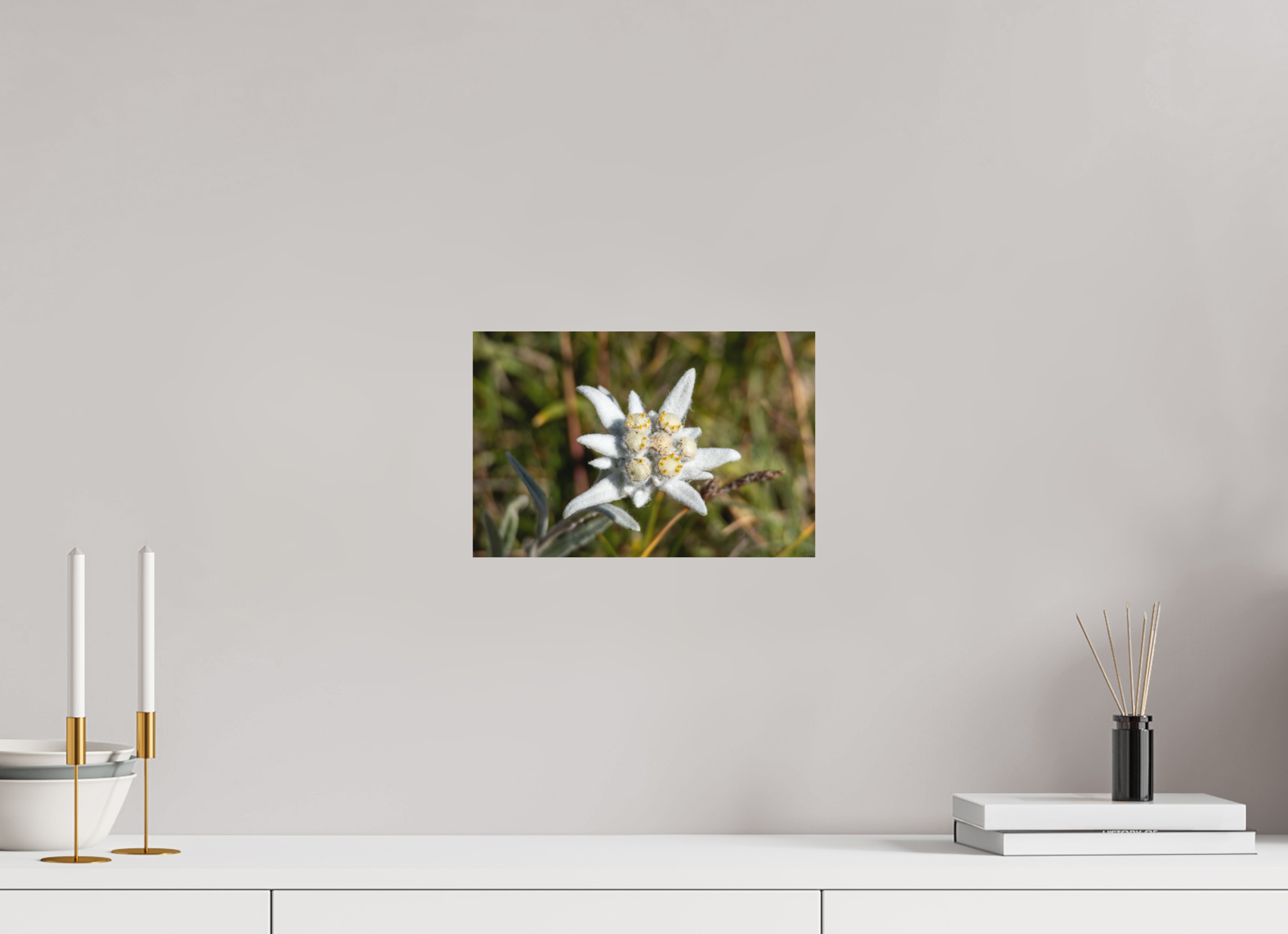 30,3 x 20 cm, Tirage Fine Art mat Fleur sacrée