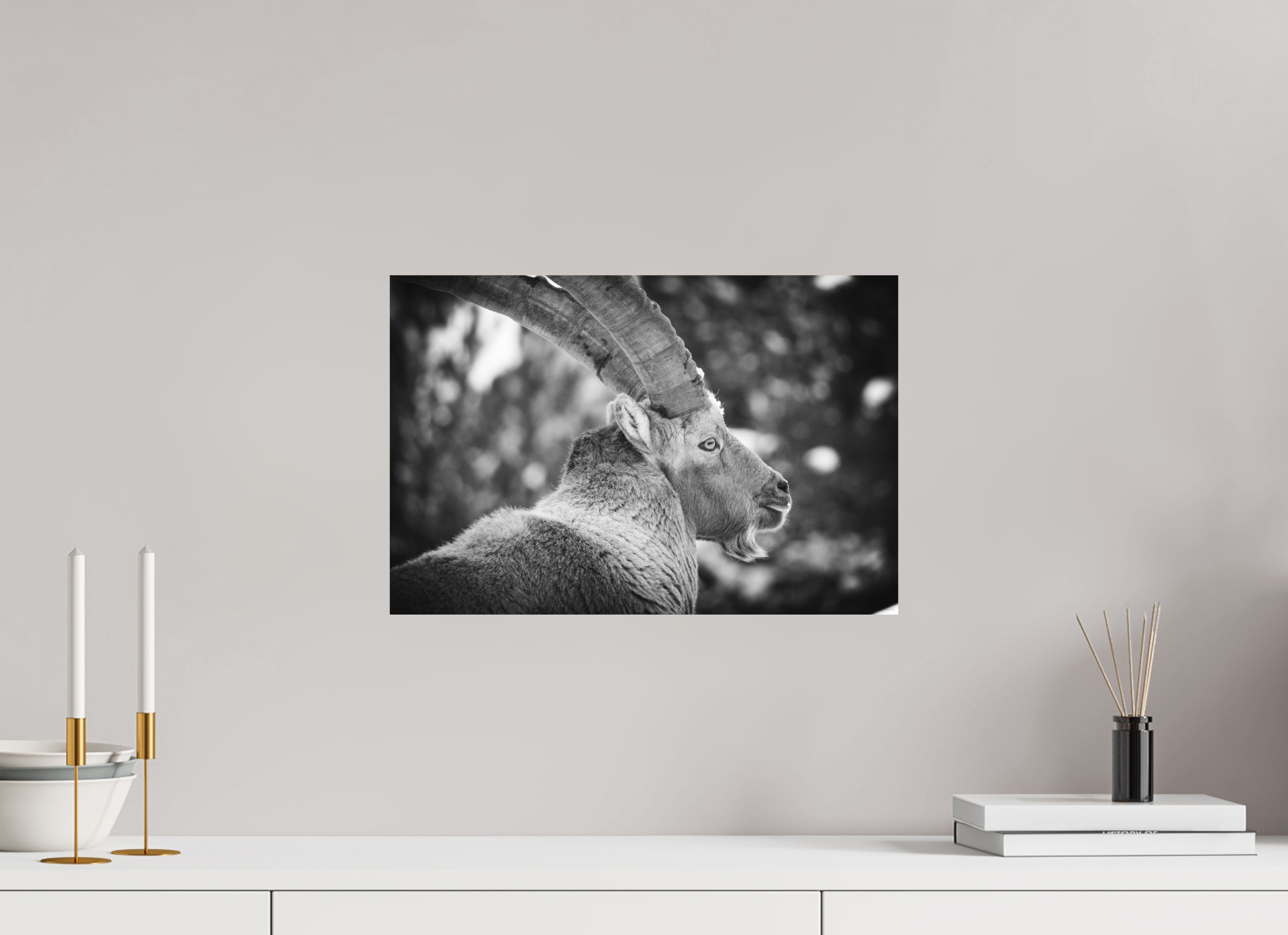 45 x 30 cm, Tirage Fine Art mat Le Roi