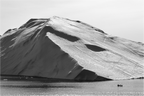 Main image Pêche au gros