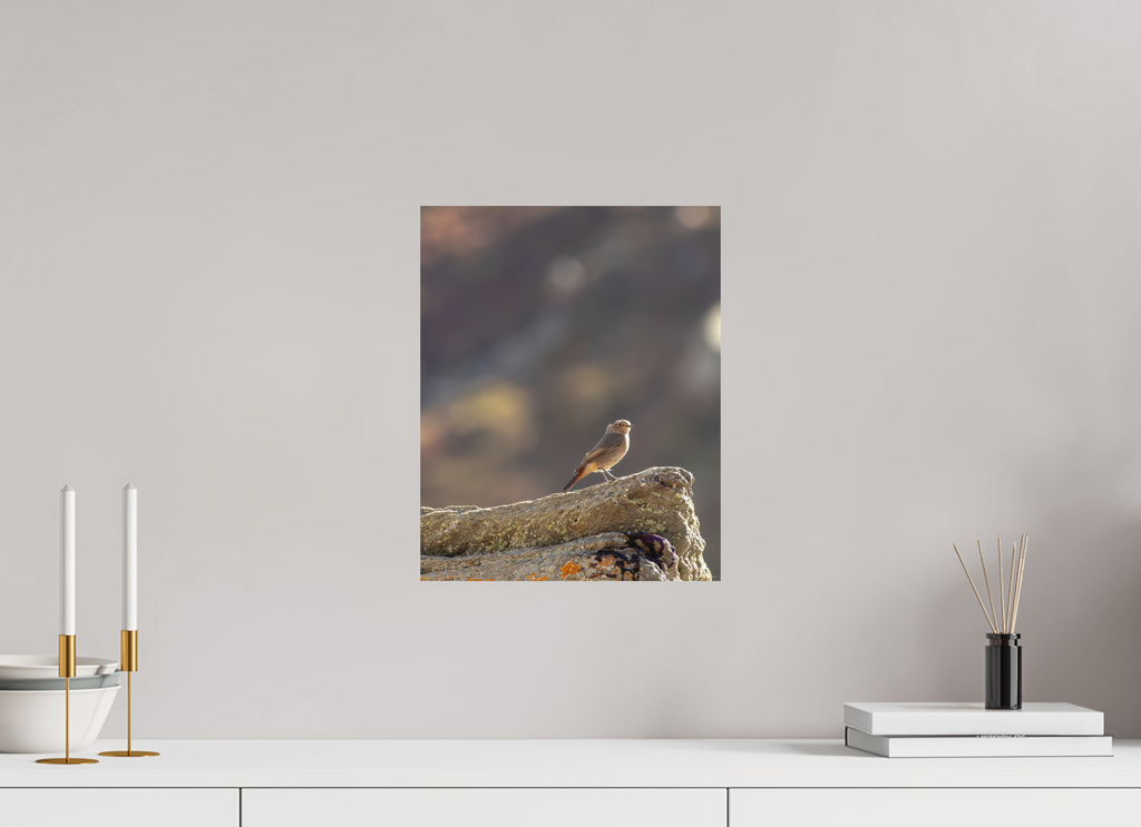 30 x 37,5 cm, Tirage Fine Art mat Rouge queue - veilleur du matin
