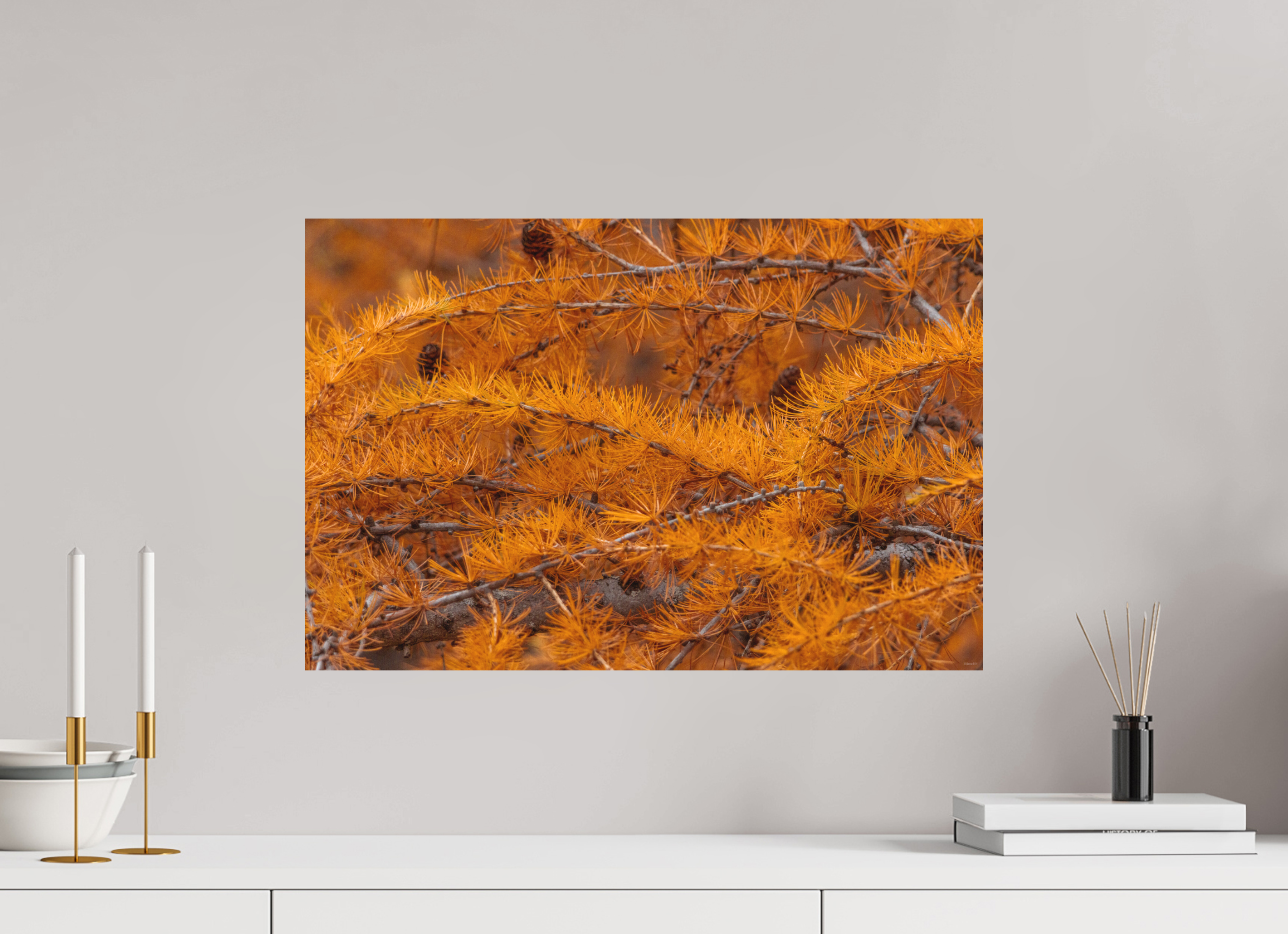 60 x 40 cm, Tirage Fine Art mat Coucher de sève