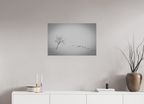 75 x 50 cm, Tirage Fine Art mat Isolé