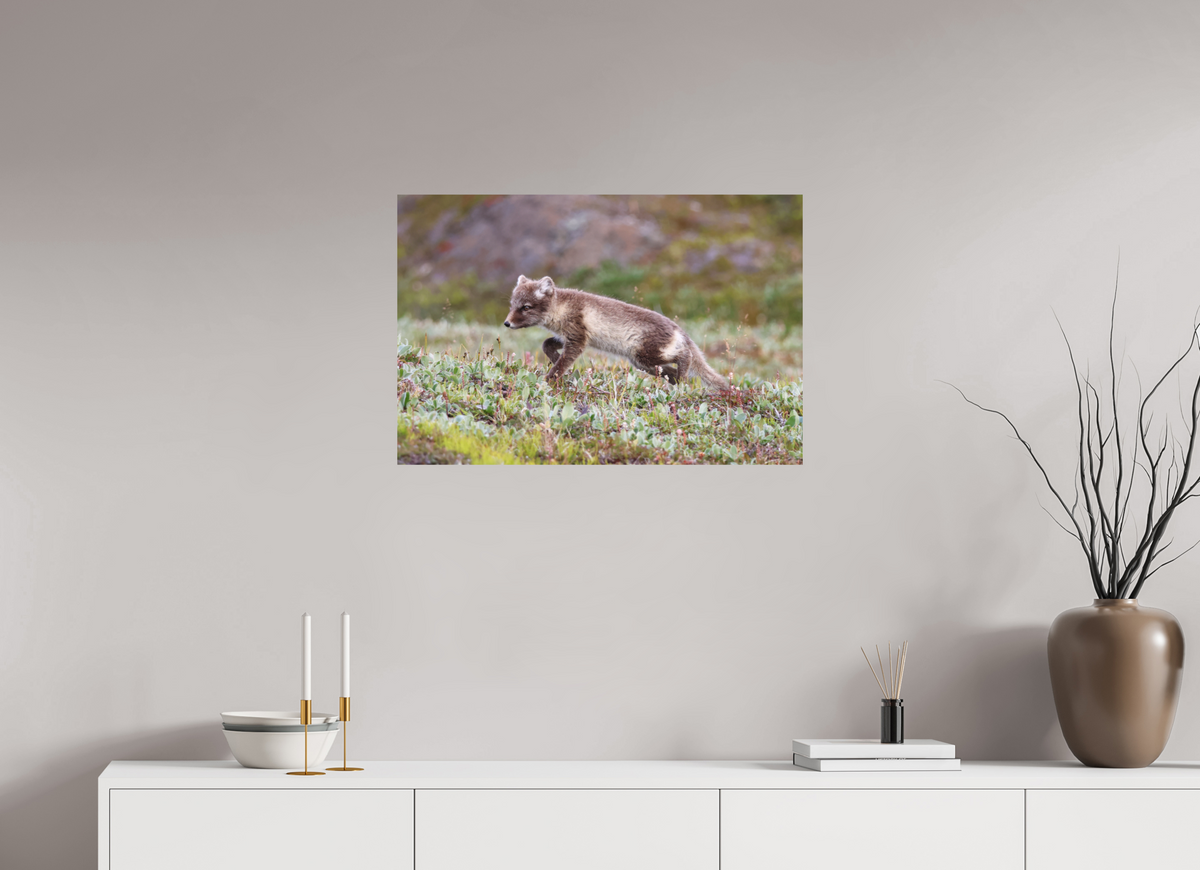 75 x 50 cm, Tirage Fine Art mat Regard arctique