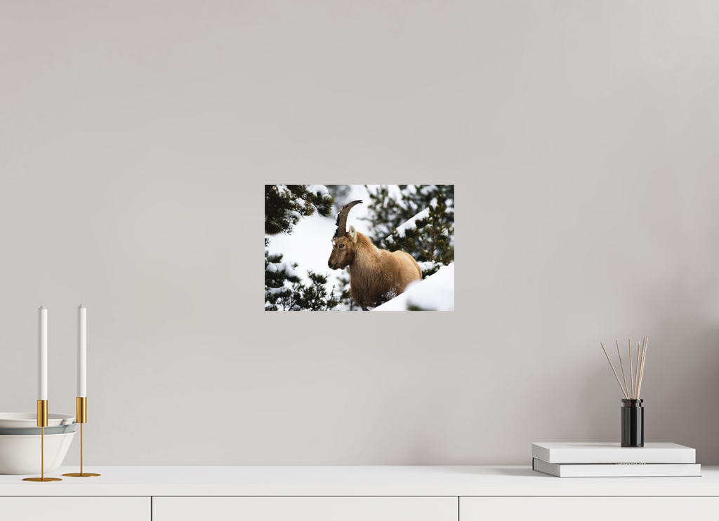 30 x 20 cm, Tirage Fine Art mat Surpris