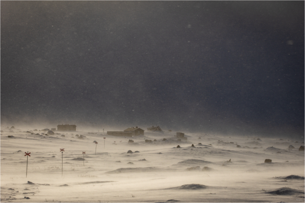 Main image Blizzard