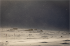 Main image Blizzard