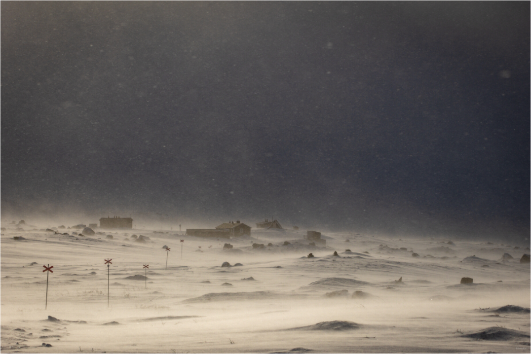 Main image Blizzard