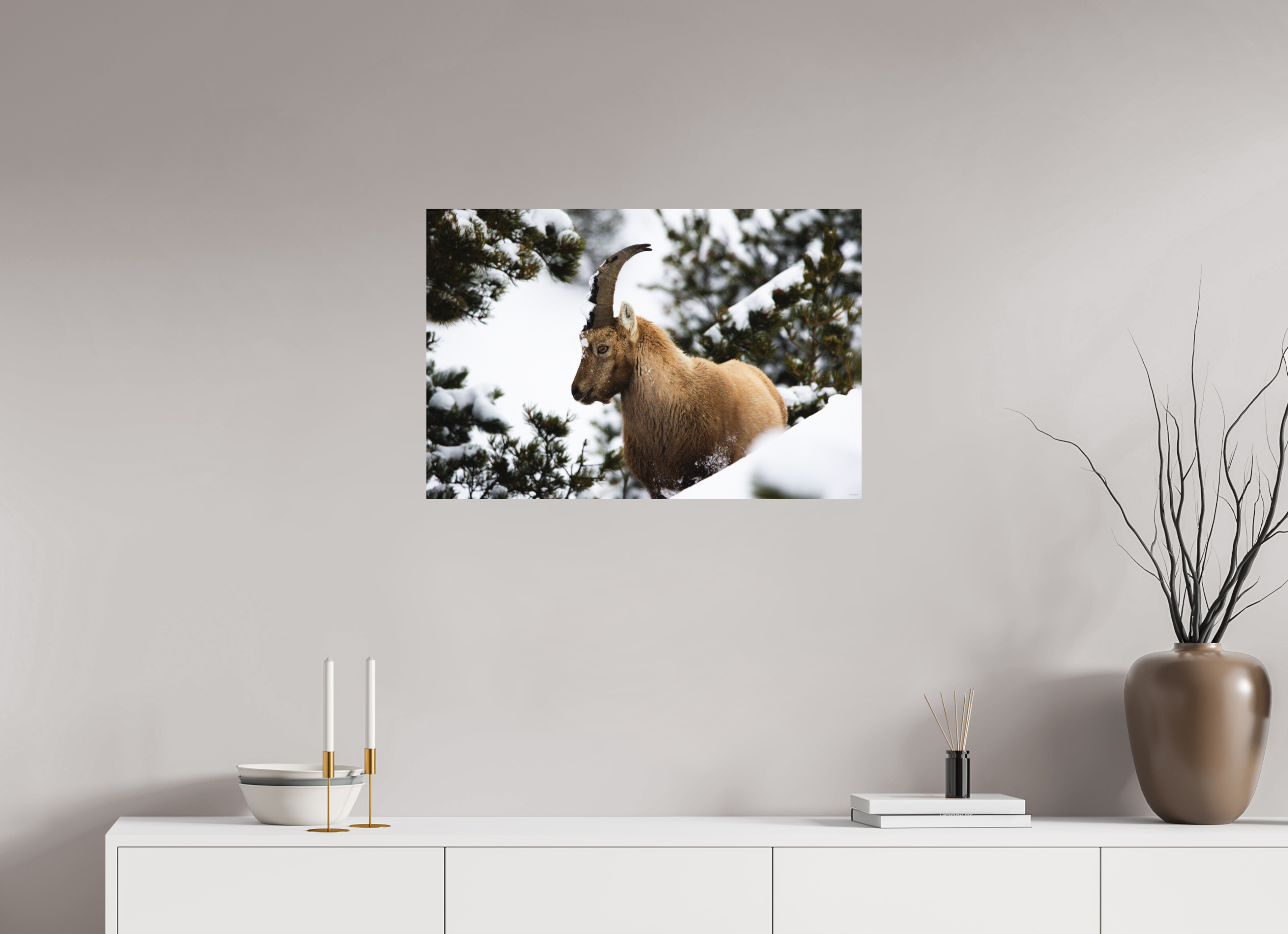 75 x 50 cm, Tirage Fine Art mat Surpris