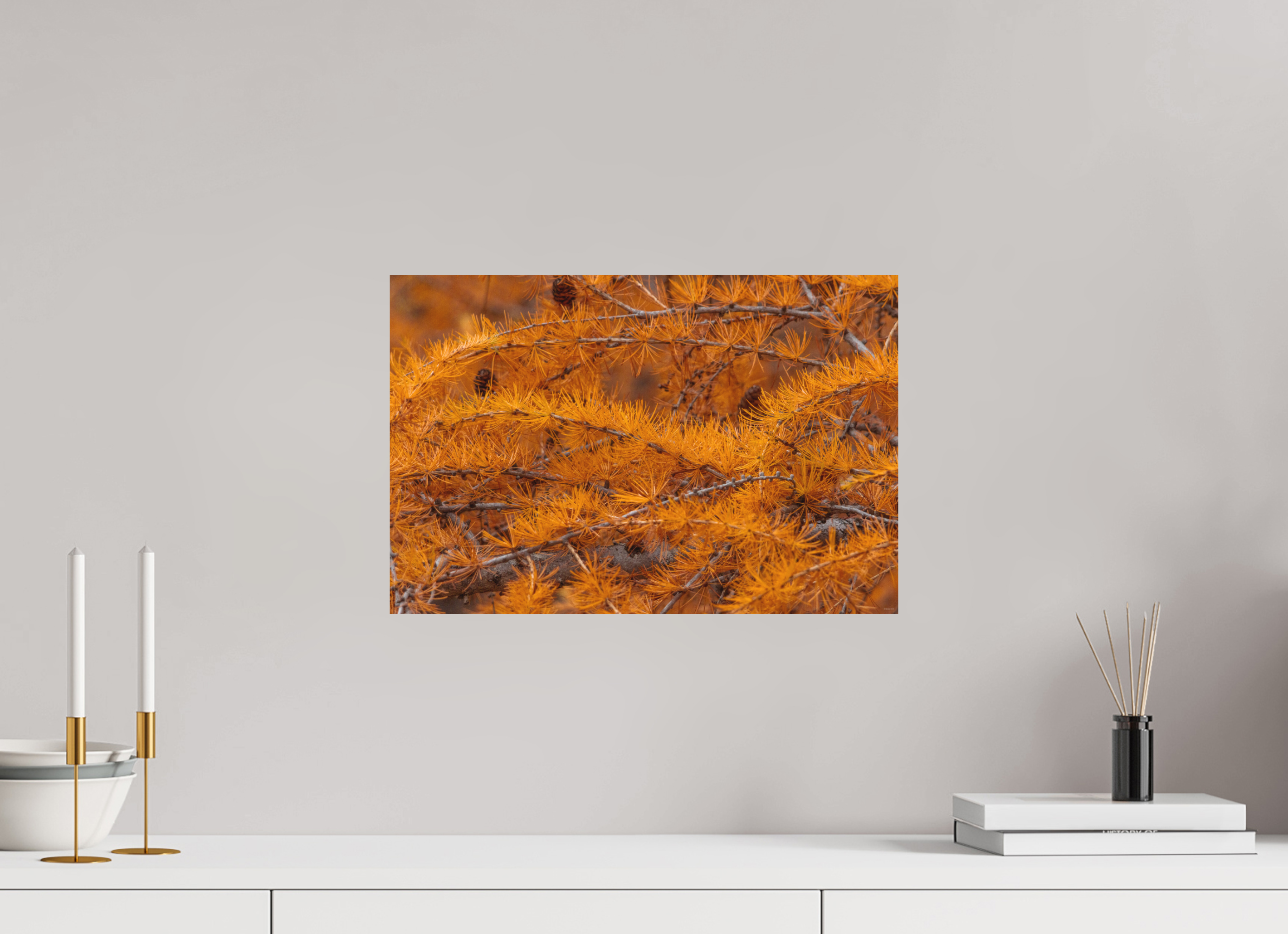 45 x 30 cm, Tirage Fine Art mat Coucher de sève