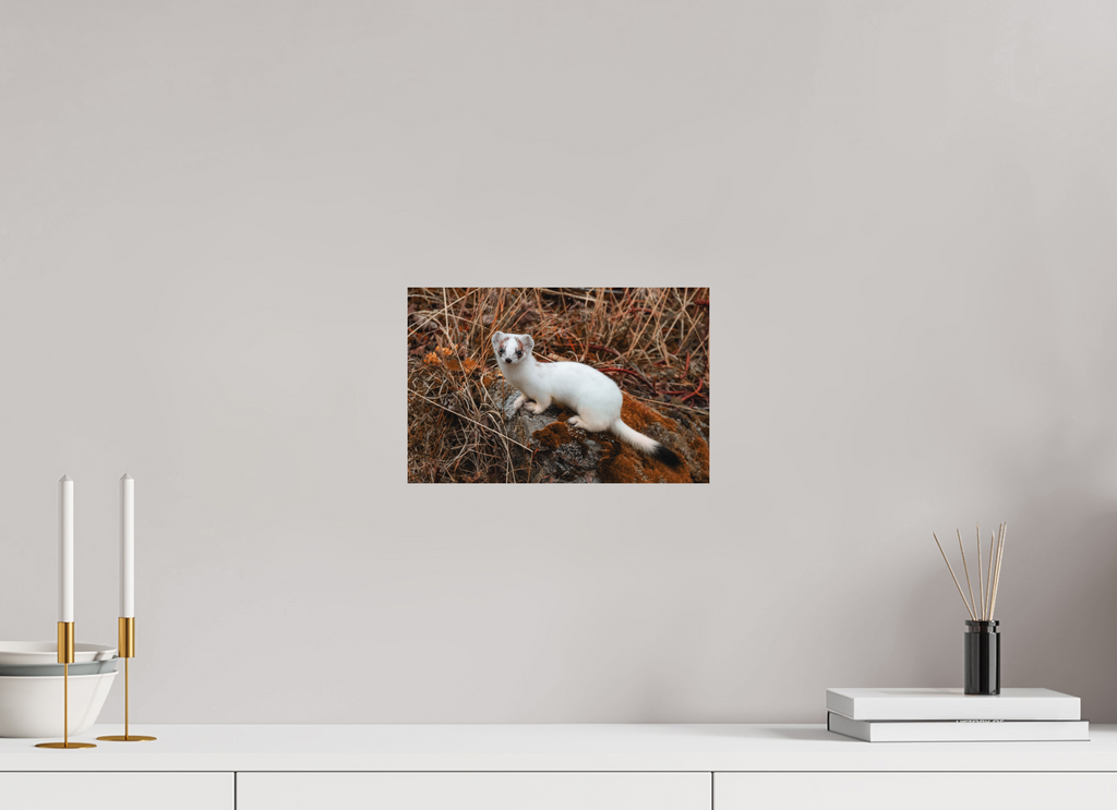 30,8 x 20 cm, Tirage Fine Art mat Hermine