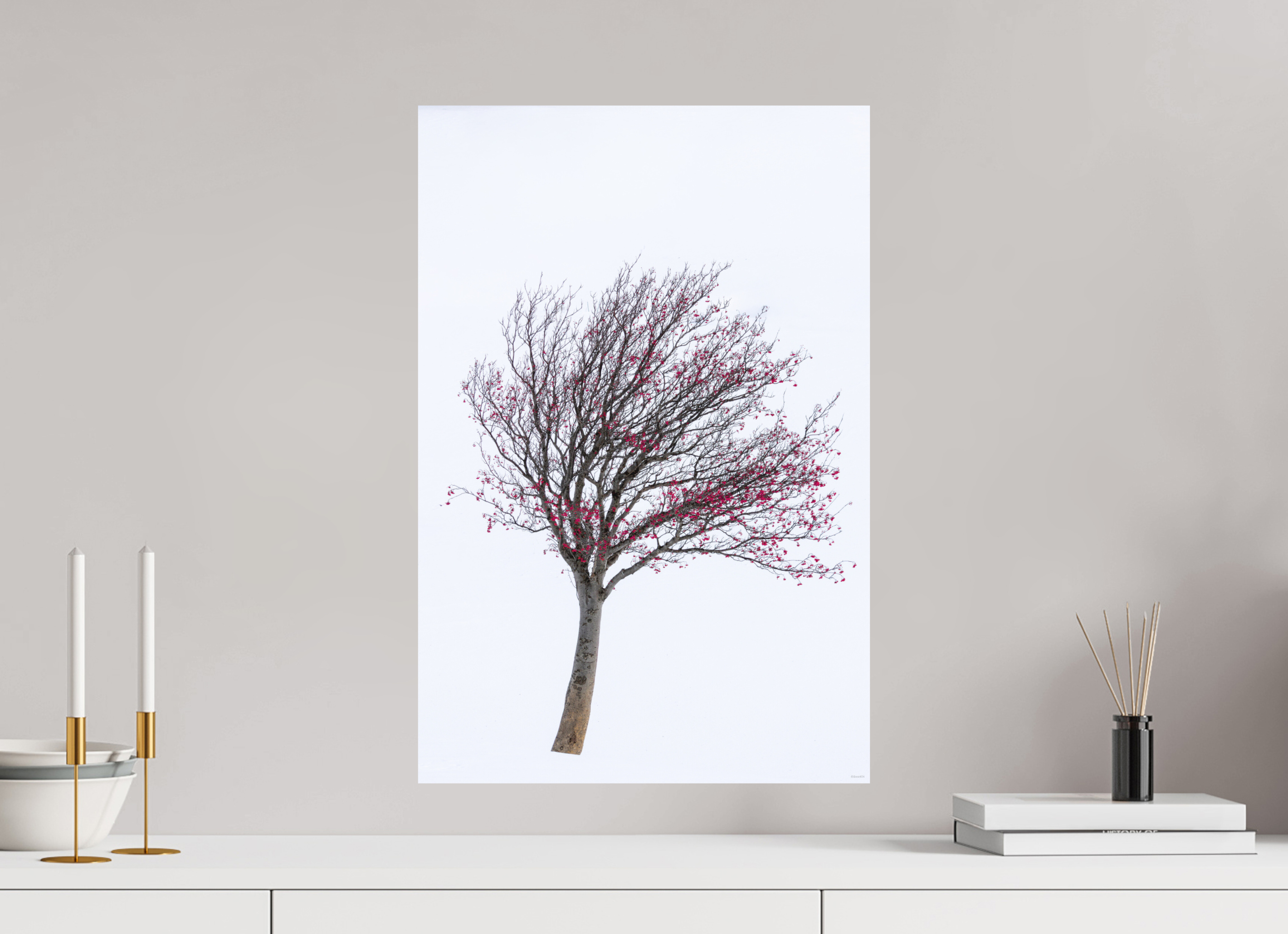 40 x 60 cm, Tirage Fine Art mat Les fruits du froid