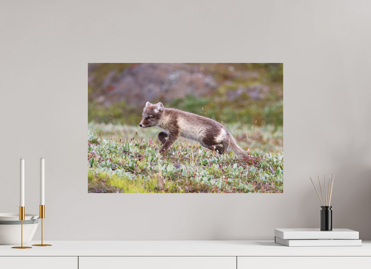 60 x 40 cm, Tirage Fine Art mat Regard arctique
