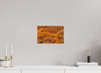 30 x 20 cm, Tirage Fine Art mat Coucher de sève