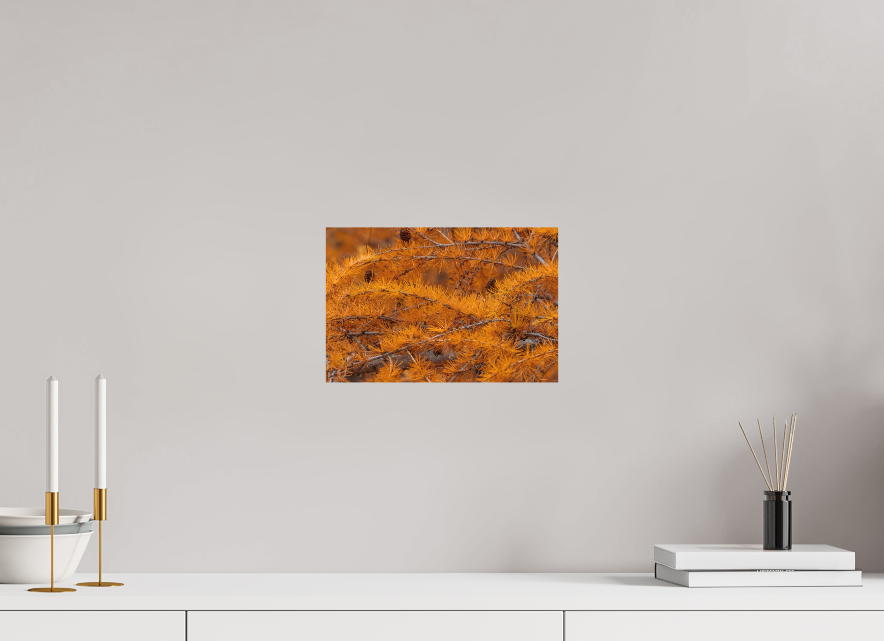 30 x 20 cm, Tirage Fine Art mat Coucher de sève