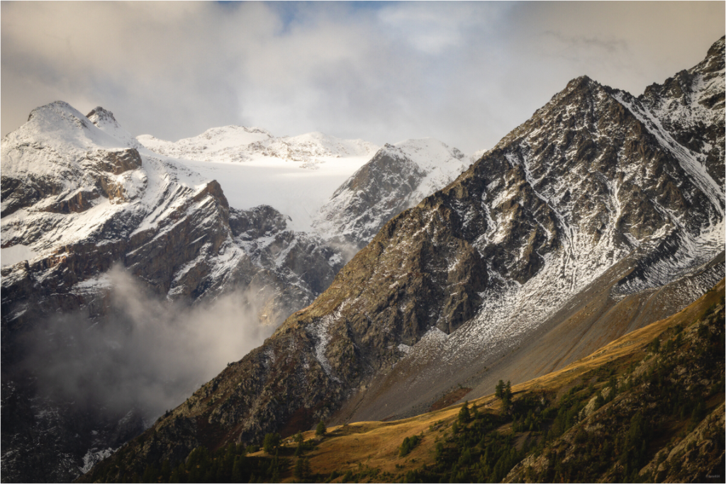 Main image Composition automnale