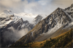 Main image Composition automnale