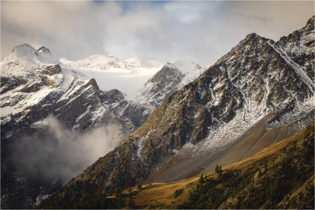 Main image Composition automnale