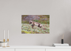 45 x 30 cm, Tirage Fine Art mat Regard arctique