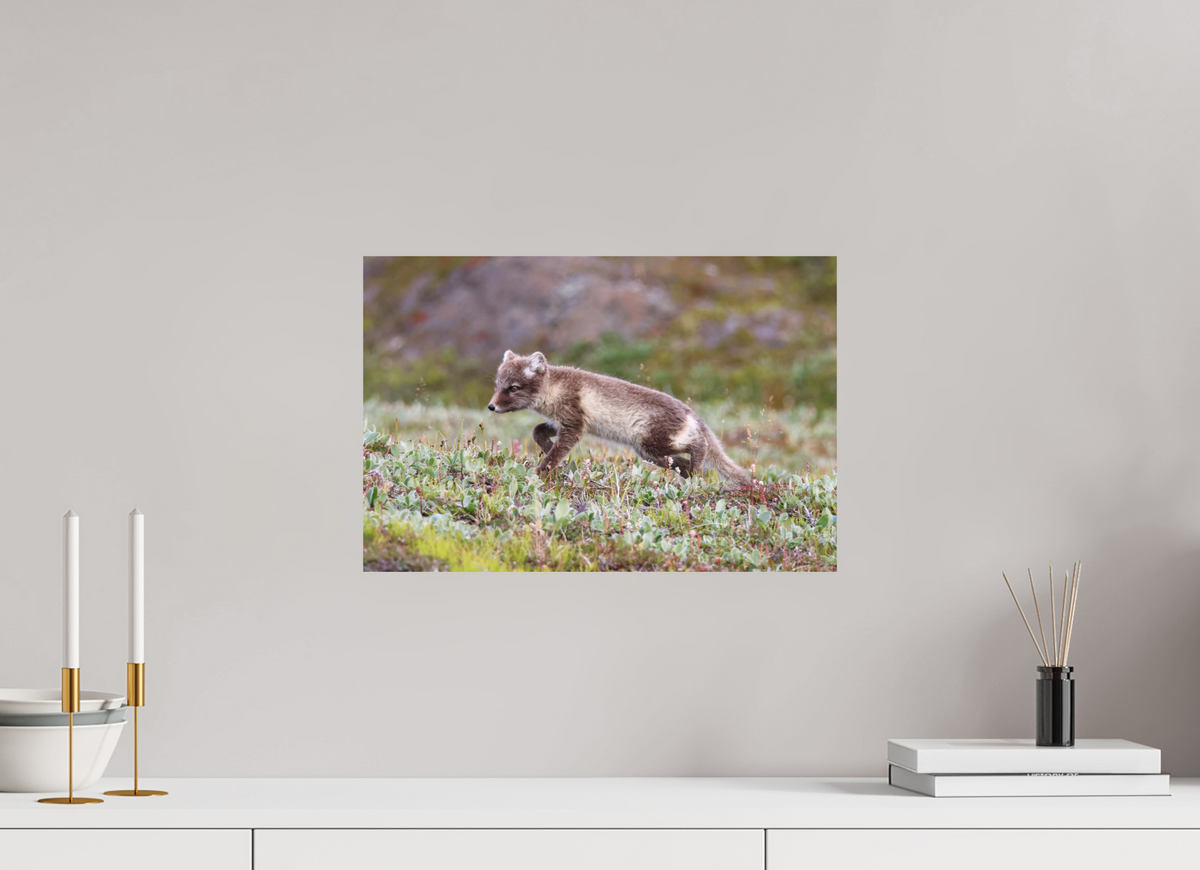 45 x 30 cm, Tirage Fine Art mat Regard arctique
