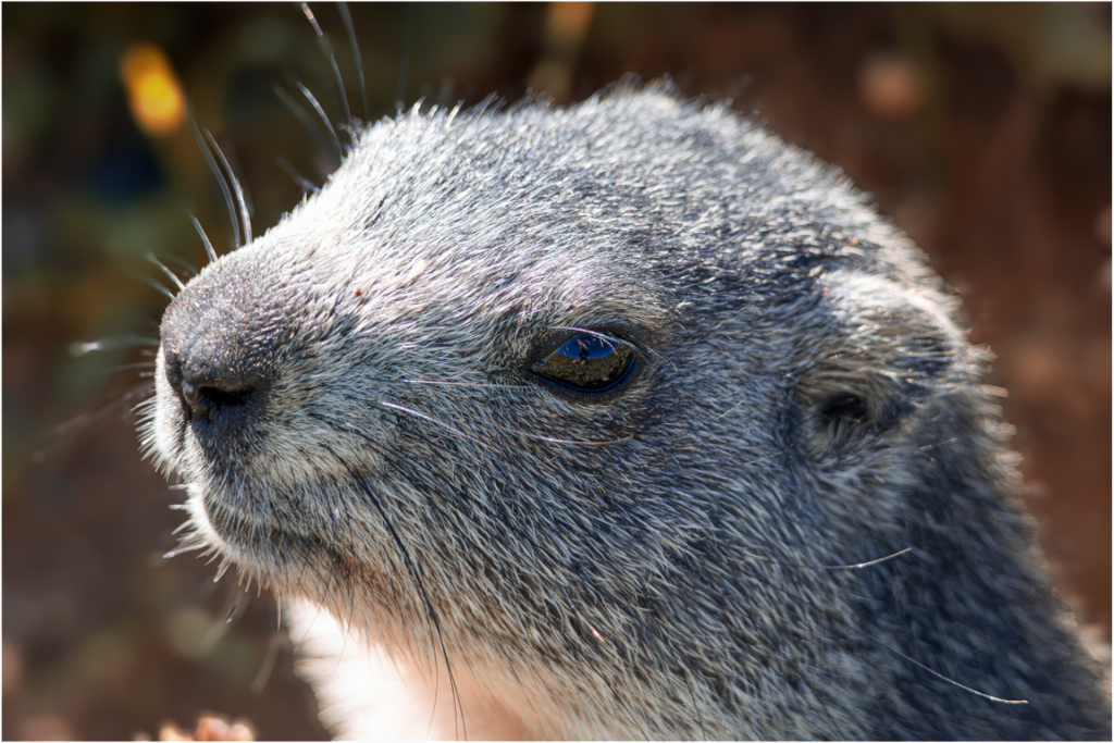 Main image Dans son regard 2